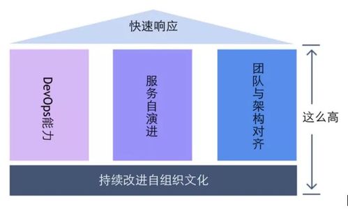 阿里資深架構(gòu)師視角 數(shù)字化轉(zhuǎn)型的新時(shí)代技術(shù)底座與項(xiàng)目策劃服務(wù)革新